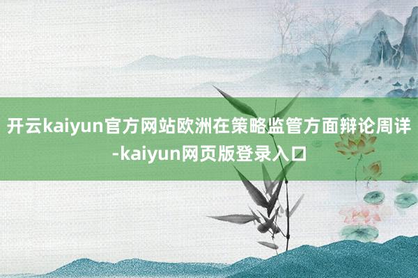 开云kaiyun官方网站欧洲在策略监管方面辩论周详-kaiyun网页版登录入口