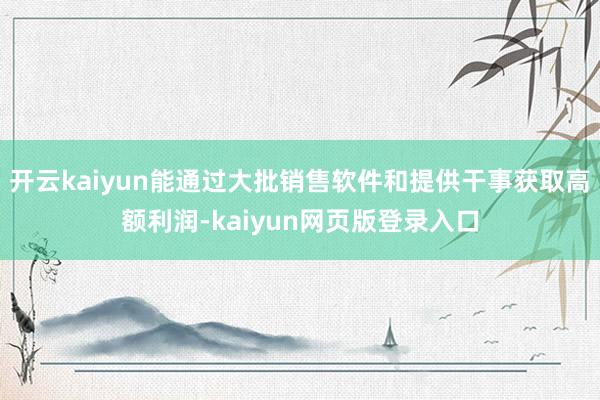 开云kaiyun能通过大批销售软件和提供干事获取高额利润-kaiyun网页版登录入口